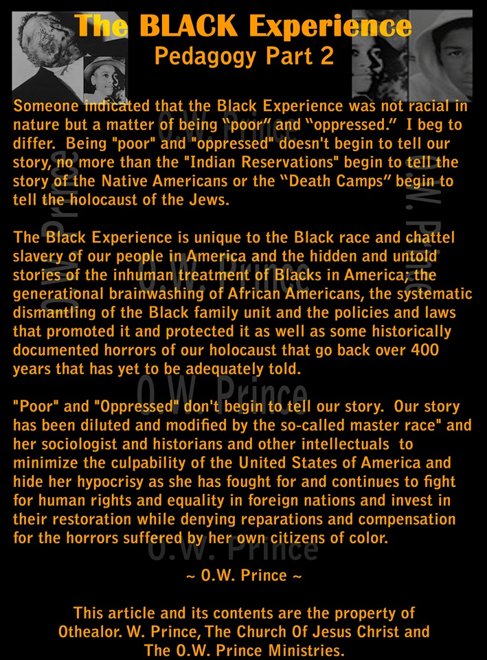Black Experience Pedagogy Part 2